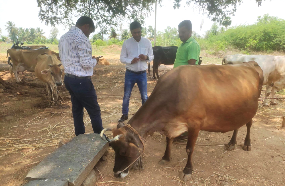 Mr.Vinay Kumar - Value Chain National Head interection with Farmer - Vadugam at Namakkal (Tamil Nadu)