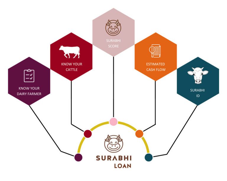 Flexible Dairy Cattle Financing Cattle Loan Experts Dvaraedairy